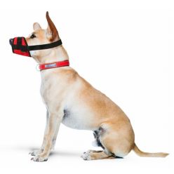 Grande Finale Kaganiec Dla Psa Standard Rozmiar 4 (22-30Cm)