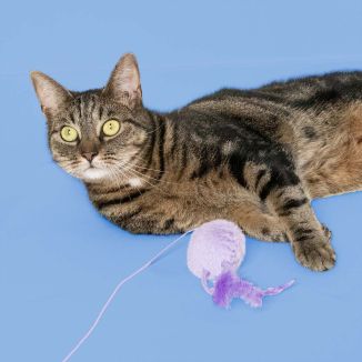 Coockoo Wędka dla Kota Jumping Jumpy z Piłką i Piórkami 40cm