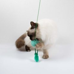 Coockoo Wędka dla Kota Jumping Jumpy z Piłką i Piórkami 40cm