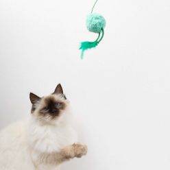 Coockoo Wędka dla Kota Jumping Jumpy z Piłką i Piórkami 40cm