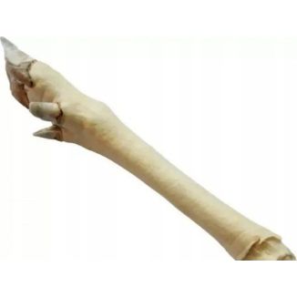 Naturalny, twardy gryzak dla psa - biała, suszona racica sarny marki Arami - sklep zoologiczny Konikpolny.pl