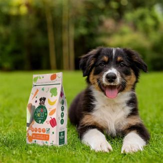 Garden Bites Puppy Fruity Friends S 210g Przysmak na Ząbkowanie