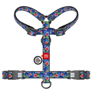 Collar Waudog Nylon Szelki Nylonowe Anatomiczne W Kształcie Litery H, Z Qr-Paszportem, Plastikowy Fastex, Wzór Figa, Rozmiar M 2