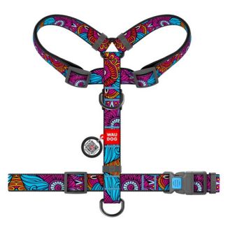 Collar Waudog Nylon Szelki Nylonowe Anatomiczne W Kształcie Litery H, Z Qr-Paszportem, Plastikowy Fastex, Wzór Lato, Rozmiar M 2