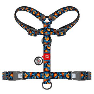 Collar Waudog Nylon Szelki Nylonowe Anatomiczne W Kształcie Litery H, Z Qr-Paszportem, Plastikowy Fastex, Wzór Pomarańcze, Rozmi