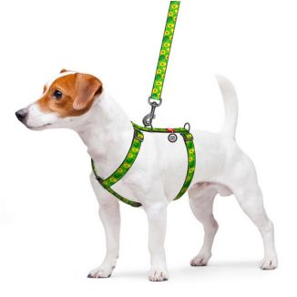 Collar Waudog Nylon Szelki Nylonowe Anatomiczne W Kształcie Litery H, Z Qr-Paszportem, Plastikowy Fastex, Wzór Awokado, Rozmiar 