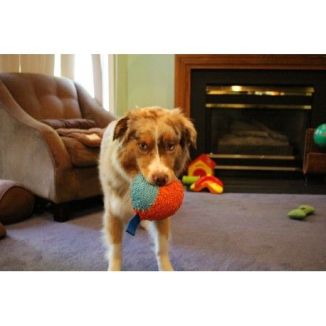 Chuckit! Indoor Ball Piłka do Domu 12cm Miękka Cicha | KonikPolny