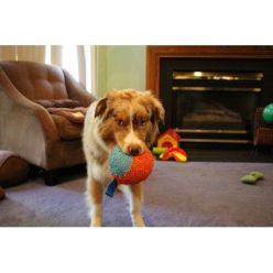 Chuckit! Indoor Ball Piłka do Domu 12cm Miękka Cicha | KonikPolny