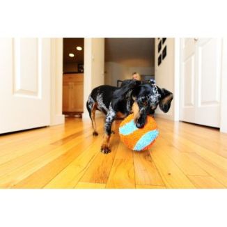 Chuckit! Indoor Ball Piłka do Domu 12cm Miękka Cicha | KonikPolny