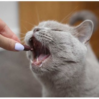 Urinovet Cat Dilution 45 Kapsułek